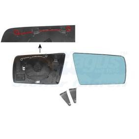 Spiegelglas, Außenspiegel 3030834 von VAN WEZEL günstig für 23,51 € online kaufen