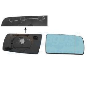 Spiegelglas, Außenspiegel 3031834 von VAN WEZEL günstig für 24,91 € online kaufen