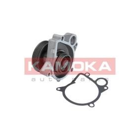 Wasserpumpe von KAMOKA T0061