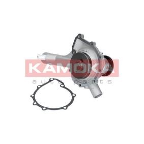 Wasserpumpe T0186 von KAMOKA günstig für 65,44 € online kaufen