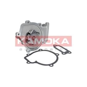 Compre Bomba de água da KAMOKA T0210 a um preço baixo por 29,75 €
