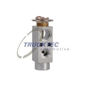 Acquista Valvola espansione climatizzatore da TRUCKTEC AUTOMOTIVE 02.59.157 a buon mercato per soli 16,46 €