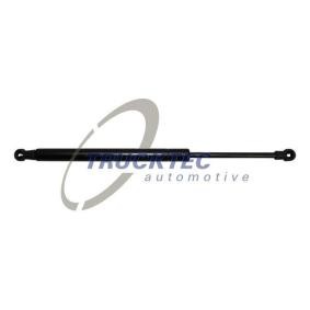 Heckklappendämpfer 08.63.031 von TRUCKTEC AUTOMOTIVE günstig für 18,27 € online kaufen