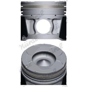 Compre Êmbolo da NÜRAL 87-429300-10 a um preço baixo por 140,78 €