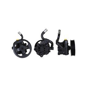 Servopumpe 15-1675 von ELSTOCK günstig für 259,32 € online kaufen