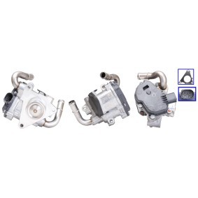 AGR-Ventil 73-0278 von ELSTOCK günstig für 155,84 € online kaufen