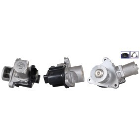 AGR-Ventil 73-0317 von ELSTOCK günstig für 282,68 € online kaufen