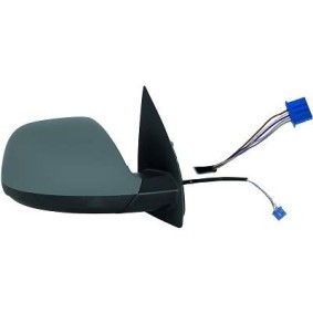 Achetez des Rétroviseur extérieur DIEDERICHS 2275124 à prix pour 196,71 €