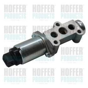 Køb Tomgangsregulator af HOFFER 7515042 til den lave pris 1726,91 DKK