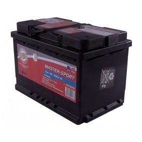 Batterie 780716002 von MASTER-SPORT günstig für 88,21 € online kaufen