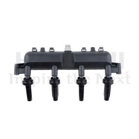 Zündspule 2503818 von HITACHI günstig für 67,61 € online kaufen