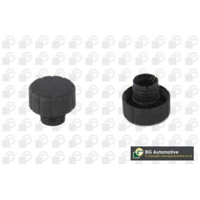 Compre Tampa de fecho, recipiente de líquido de refrigeração da BGA CC5606 a um preço baixo por 25,24 €