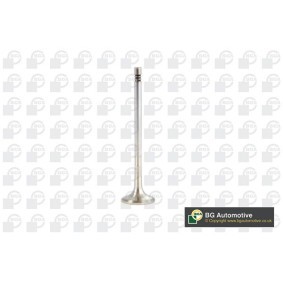 Compre Válvula de escape de BGA online para SLK (R172) a preços moderados