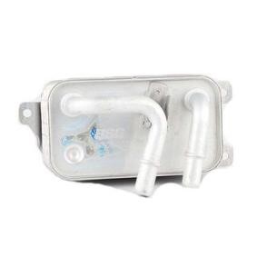 Ölkühler BSG 15-506-003 von BSG günstig für 61,12 € online kaufen