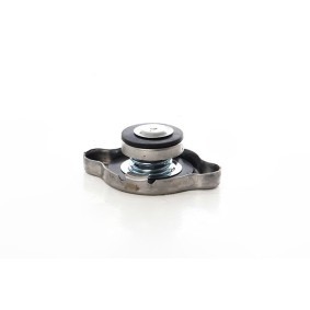 Compre Casquilho de apoio, braço transversal da BSG BSG 40-700-090 a um preço baixo por 34,25 €
