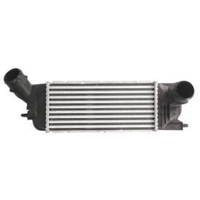Ladeluftkühler DAC009TT von THERMOTEC günstig für 113,23 € online kaufen