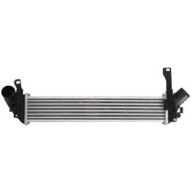 Ladeluftkühler für RENAULT von THERMOTEC