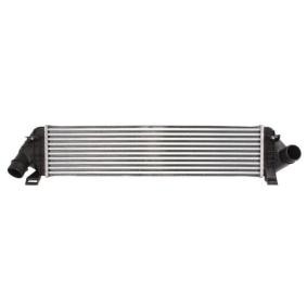 Comprar Intercooler de THERMOTEC DAV004TT a bajo precio de 95,84 €