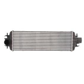 Comprar Intercooler de THERMOTEC DAX015TT a bajo precio de 69,89 €