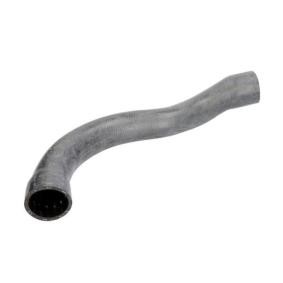 Kühlerschlauch DWB080TT von THERMOTEC günstig für 8,22 € online kaufen