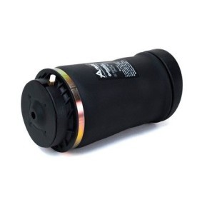 Kompressor, Luftfederung P-2658 von Arnott günstig für 475,81 € online kaufen