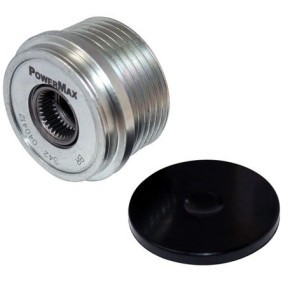 Achetez des Poulie, alternateur PowerMax 81114342 à prix pour 39,41 €