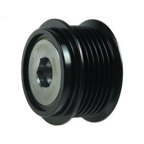 Compre Roda livre do alternador da AS-PL AFP6049(LITENS) a um preço baixo por 106,77 €