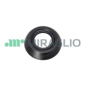Compre Puxador de porta de MIRAGLIO online para 124 Spider (124_) a preços moderados