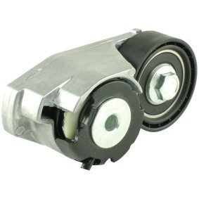 Spannrolle, Keilrippenriemen FT44638 von FAST günstig für 59,42 € online kaufen