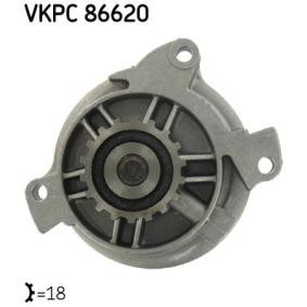 Køb Vandpumpe af SKF VKPC 86620 til den lave pris 338,03 DKK