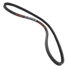 Keilriemen AVX-10X875-PCS-MS von MASTER-SPORT günstig für 4,37 € online kaufen