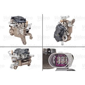 AGR-Ventil 700456 von VALEO günstig für 704,59 € online kaufen