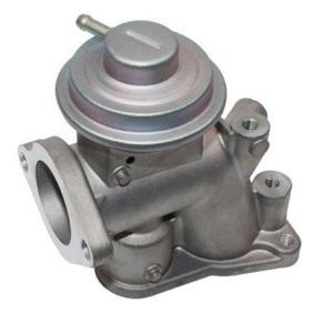 Compre Válvula EGR da MAGNETI MARELLI 571822112118 a um preço baixo por 66,31 €