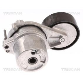 Spannrolle, Keilrippenriemen 8641 233029 von TRISCAN günstig für 100,14 € online kaufen