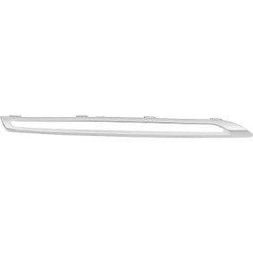Acquista Mostrina, Griglia radiatore da DIEDERICHS 1692140 a buon mercato per soli 35,73 €