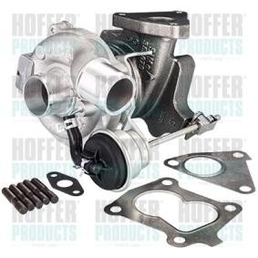 Compre Turbocompressor da HOFFER 6900075 a um preço baixo por 436,57 €