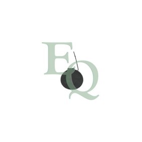 Compre Tampa, gancho de reboque da EQUAL QUALITY P6055 a um preço baixo por 19,98 €