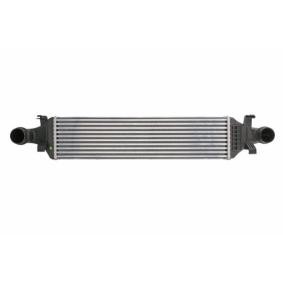 Köp Intercooler av THERMOTEC DAM016TT till det låga priset 1874,23 kr