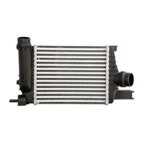 Ladeluftkühler für DACIA von THERMOTEC