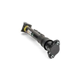Stoßdämpfer SK-3029 von Arnott günstig für 381,68 € online kaufen