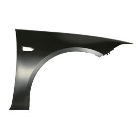 Acquista Parafango da BLIC online per INSIGNIA Sports Tourer a prezzi moderati