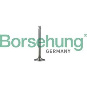 Auslaßventil B19010 von Borsehung günstig für 11,14 € online kaufen
