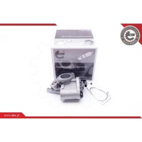 Compre Válvula EGR da ESEN SKV 14SKV165 a um preço baixo por 122,45 €