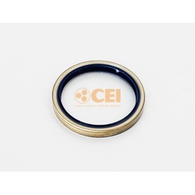 Acquista Paraolio, Cambio manuale da CEI 139.551 a buon mercato per soli 16,70 €