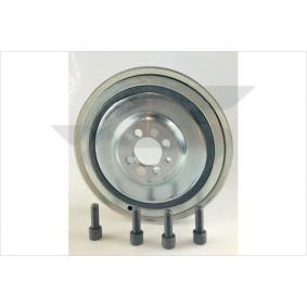 Achetez des Poulie damper (vilebrequin) HUTCHINSON DP078S à prix pour 122,08 €