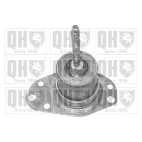 Motorlager für FIAT von QUINTON HAZELL