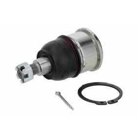 Traggelenk A26-0293 von ACKOJA günstig für 26,91 € online kaufen