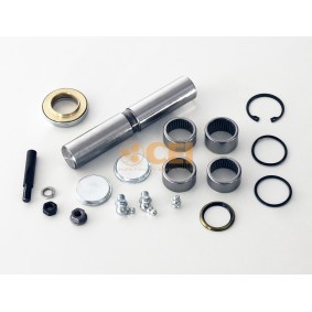 Acquista Kit riparazione, Perno fuso a snodo da CEI 230.106 a buon mercato per soli 66,62 €