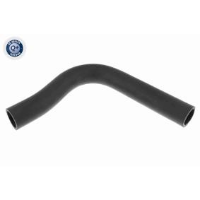 Kühlerschlauch A37-1605 von ACKOJA günstig für 14,01 € online kaufen