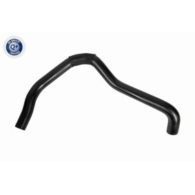 Kühlerschlauch A37-1606 von ACKOJA günstig für 27,78 € online kaufen
